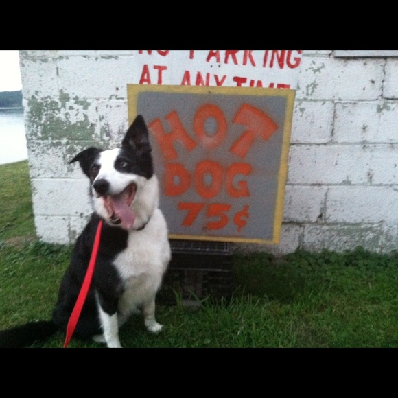 Meet your Posher, Magen - Picture 3 of 8